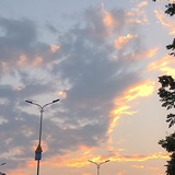 可爱的兰朋友