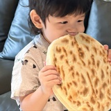 卧似逆蝶