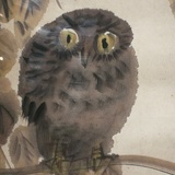 敖owl