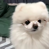 时间链_