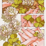 Privet tree