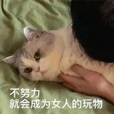 长安宁