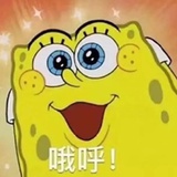 momodhj