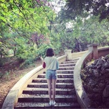 我是奔奔