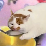 不要这样好吗