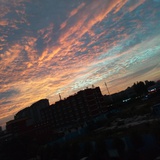 陆廿玖巳01