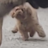Baiiiiiii
