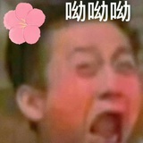 不是吧阿sir