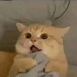 啧啧啧