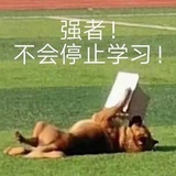 算了先活下去吧