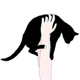 淡淡的烟草味