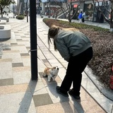贝吉拉叭叭