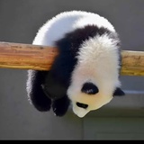豆友5358672709