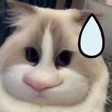 😪