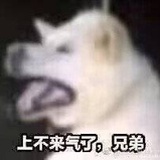 咖啡我生命