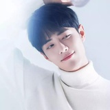 铿锵玫瑰
