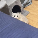 我爱吃饭