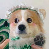 亏本戴斯