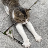 豆友265405465