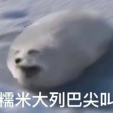勒壹