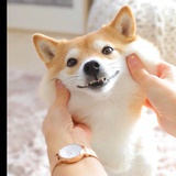 想想