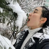 极光追求者