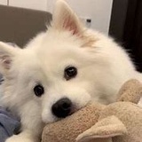 凡人修仙传正派