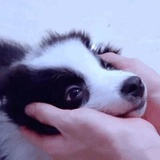 一边边边