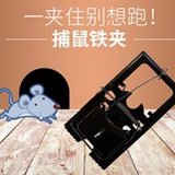 捕鼠大队