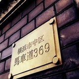 角落霉菌369号
