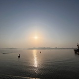 云林