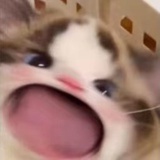 豆友jCnAGVl5yg