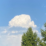 腰酸背痛腿抽筋