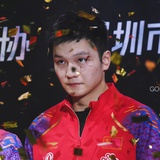 樊振东巴黎登顶