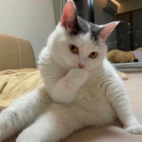 哎咦哎呦