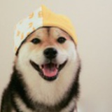 独孤求喵