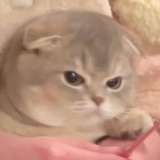 小陈陈陈陈陈陈