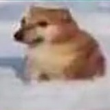 As 方
