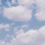 小葡萄干