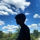 夏天的枫