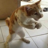 豆友5259278843