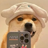 串串摸鱼版