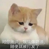 芋泥玛琪没有朵