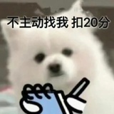 命运之轮