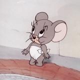 啊哦