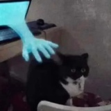 茄喱啡