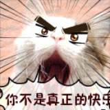 年|第二人生