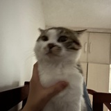 一一