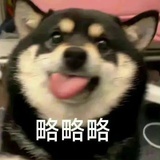 好开心鸭嘎嘎嘎