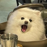 朽